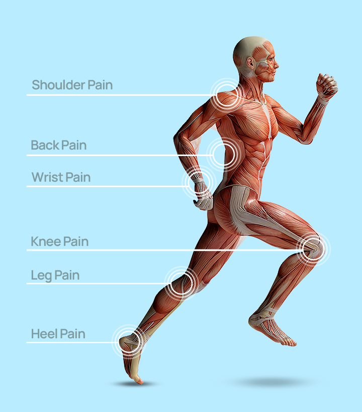 Human Body Pain Points